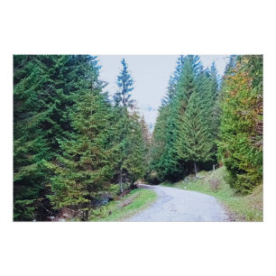Póster En el corazón del bosque - Naturaleza salvaje Ruma