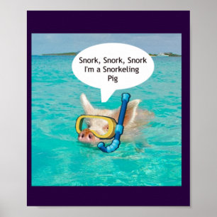 Póster En el estanque se puede practicar snorkel