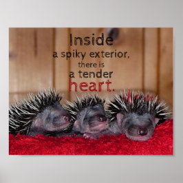 Póster En el exterior de una araña hay un corazón tierno