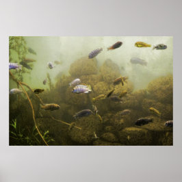 Póster En el fondo