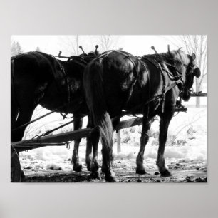 Póster En el golpeador puesto