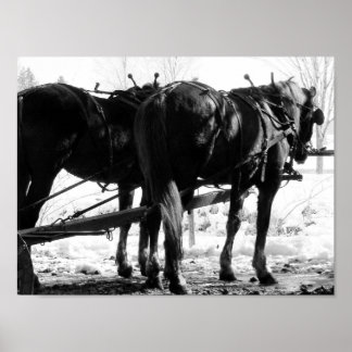 Póster En el golpeador puesto