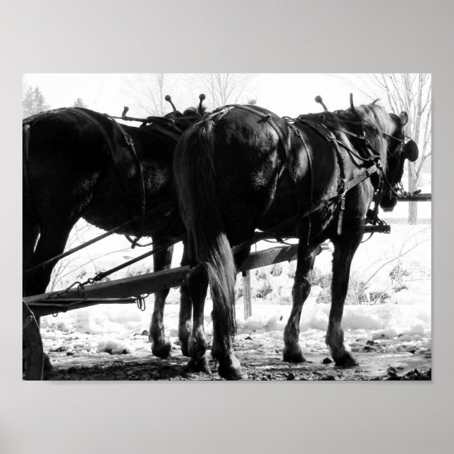 Póster En el golpeador puesto (Frente)
