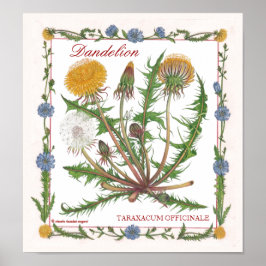 Póster En el jardín ~ Dandelion Poster