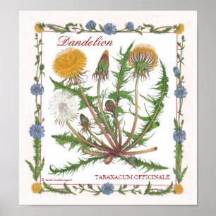 Póster En el jardín ~ Dandelion Poster
