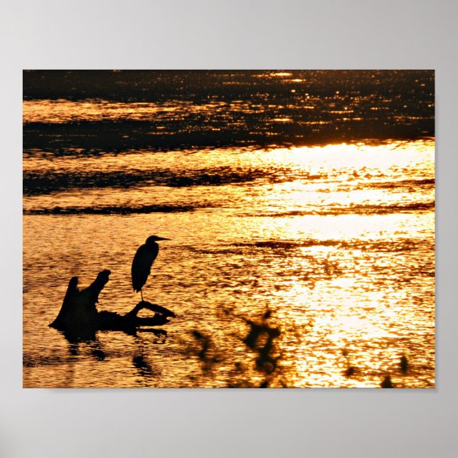 Póster En el lago dorado (Frente)