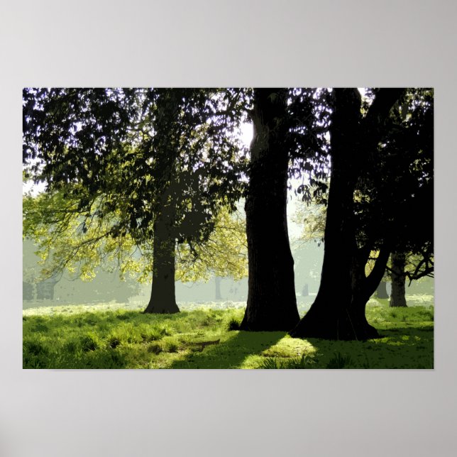 PÓSTER EN EL PARQUE (Frente)