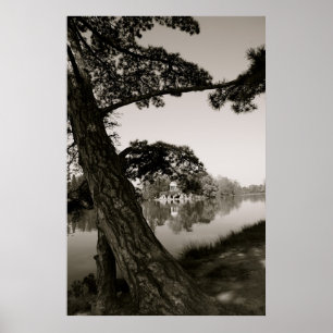 Póster En el parque