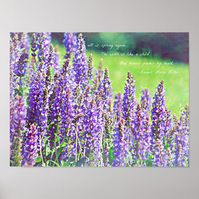Póster en el valle de púrpura (Frente)