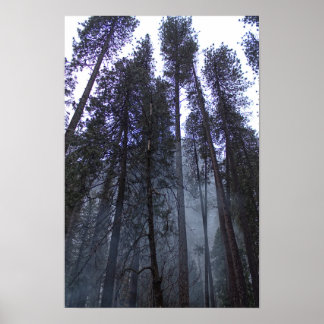 Póster En la base de Half Dome - Yosemite
