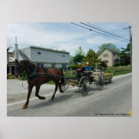 En la casa/los niños Amish en la AP