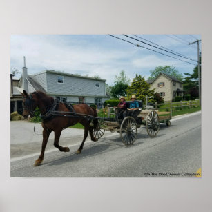 Póster En la casa/los niños Amish en la AP