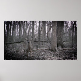 Póster En la granja