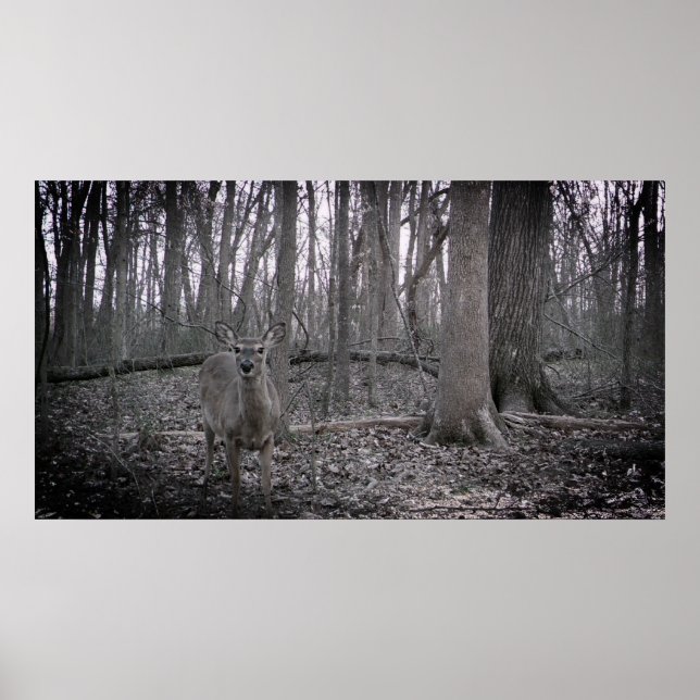 Póster En la granja (Frente)