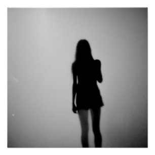 Póster En la niebla blanca