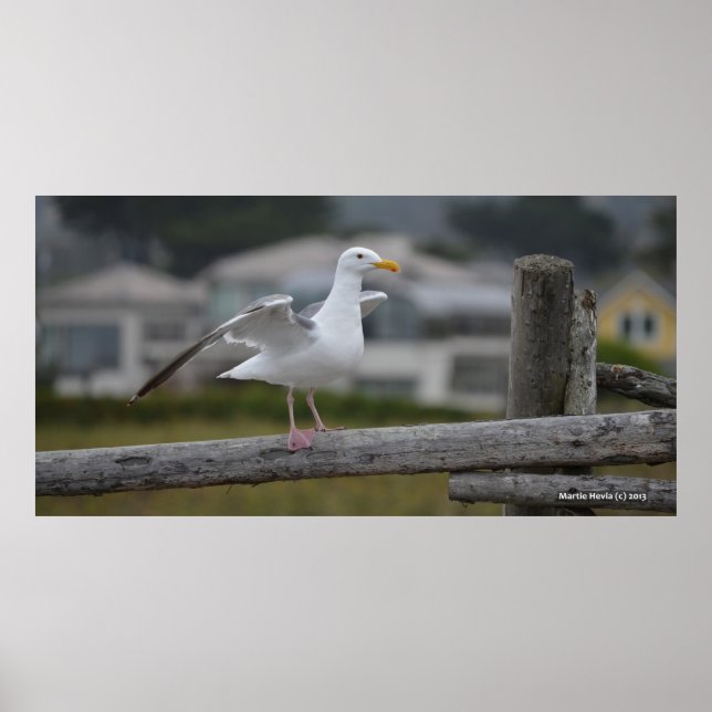 Póster En la valla II - Poster/Imprimir (Frente)