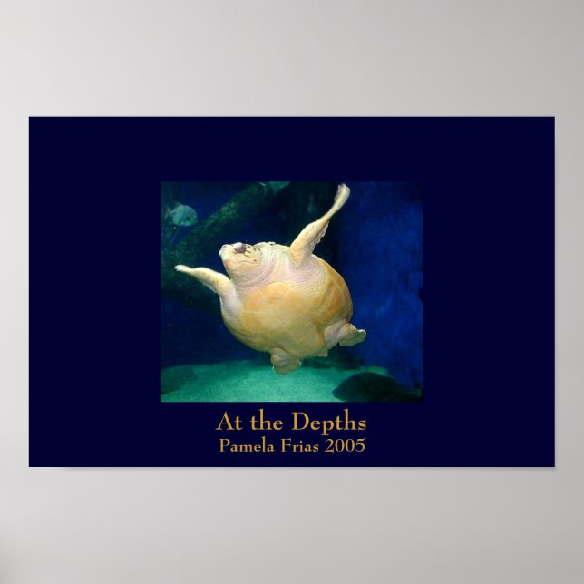 Póster En las profundidades (Frente)