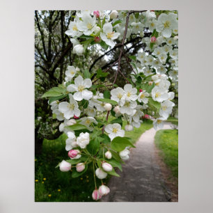 Póster En las ramas de las flores