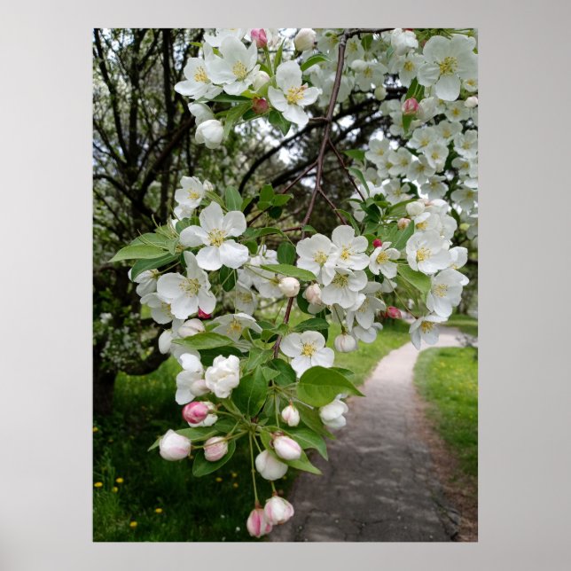 Póster En las ramas de las flores (Frente)