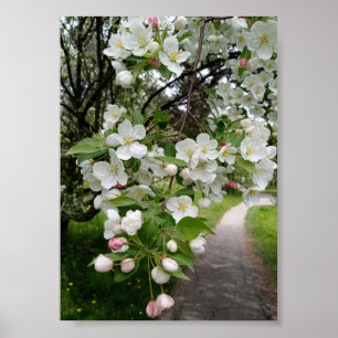 Póster En las ramas de las flores