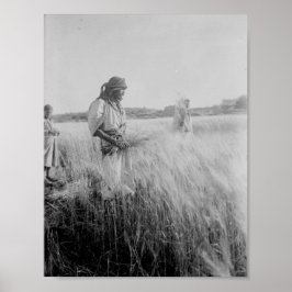 Póster En los campos de Boaz en Belén