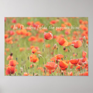 Póster En los campos de Flandes soplan las amapolas