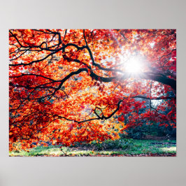 PÓSTER EN LOS COLORES MÁGICOS DEL OTOÑO