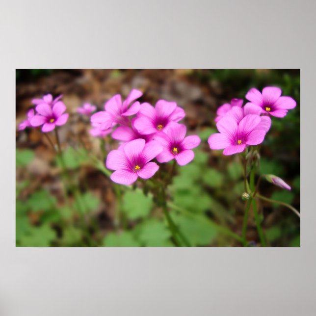 Póster En Mi Imprimir En La Puerta (Frente)