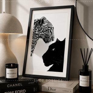 Póster en negro y blanco Leopardo y pantera negra