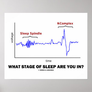 Póster ¿En Qué Etapa De Dormir Estás?
