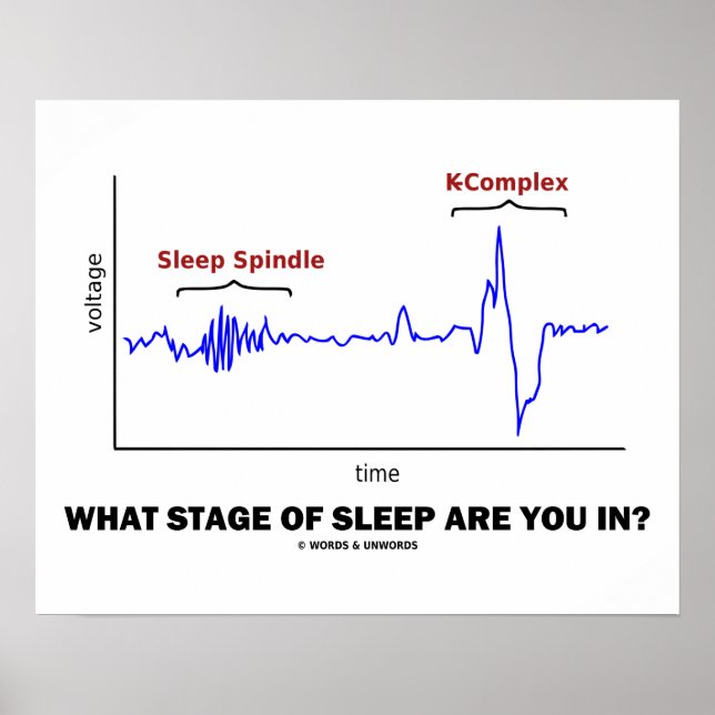 Póster ¿En Qué Etapa De Dormir Estás? (Frente)