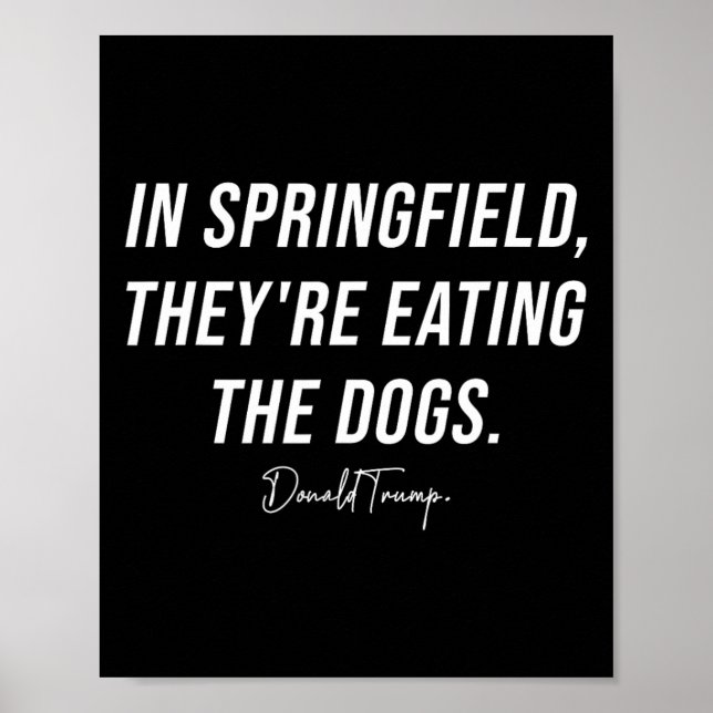 Póster En Springfield se están comiendo las mascotas - Tr (Frente)