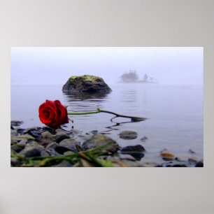 Póster En tierra lavado rosa rojo