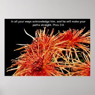 Póster en todos sus sentidos reconozcáis de él