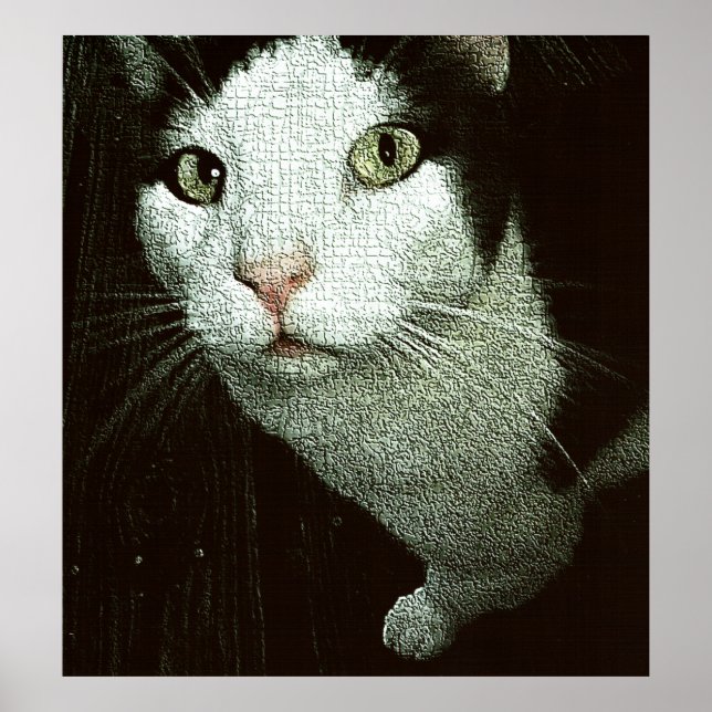 Póster En Tu Cara Bob (Frente)