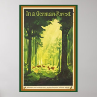 Póster En un bosque alemán
