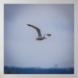 Póster En Vuelo