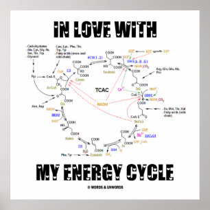 Póster Enamorado de mi ciclo energético (ciclo Krebs)