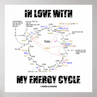 Póster Enamorado de mi ciclo energético (ciclo Krebs)