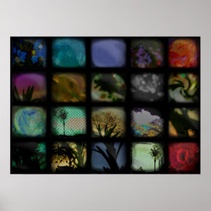 PÓSTER ENCAJONADO - ADENTRO