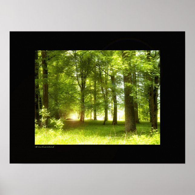 Póster Encantado (Frente)