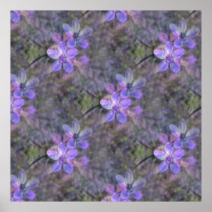 Póster Encantador en primavera.