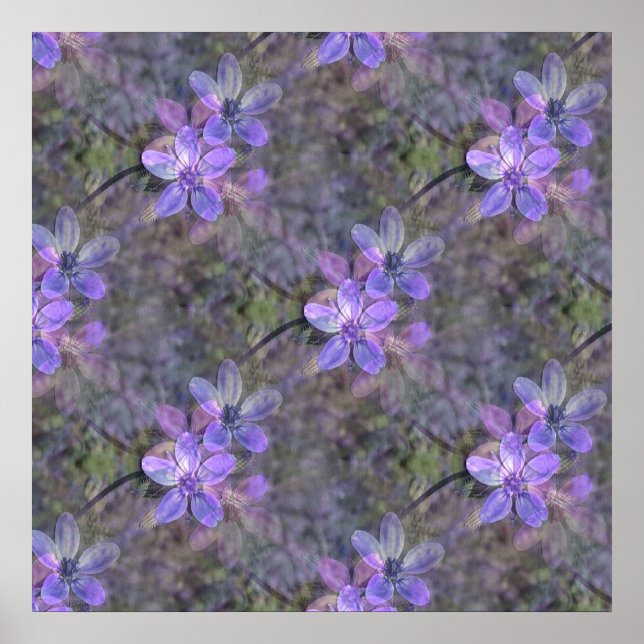 Póster Encantador en primavera. (Frente)