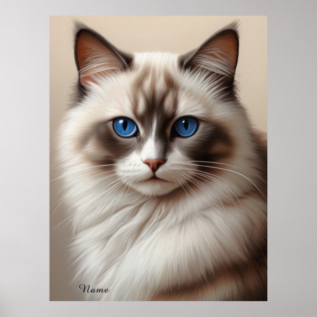 Póster Encantador Ragdoll Cat Art Pet Lover (Frente)