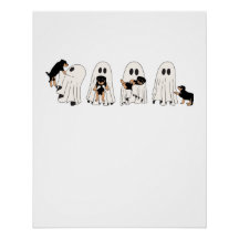 Encantador y escalofriante: ¡Acepten las vibracion