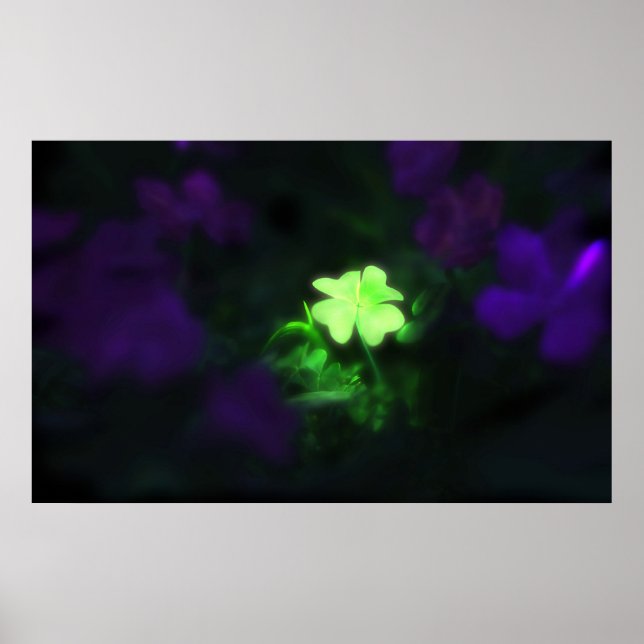 Póster Encanto de suerte (Frente)