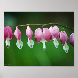Póster Encantos Impresos Rosados