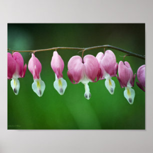 Póster Encantos Impresos Rosados