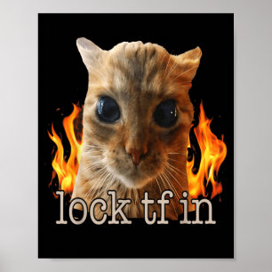 Póster Encerrar tf en gato