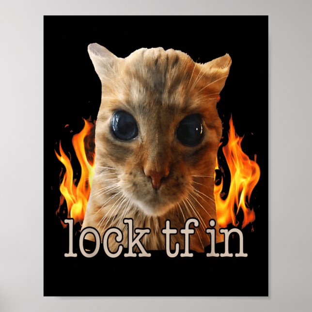 Póster Encerrar tf en gato (Frente)